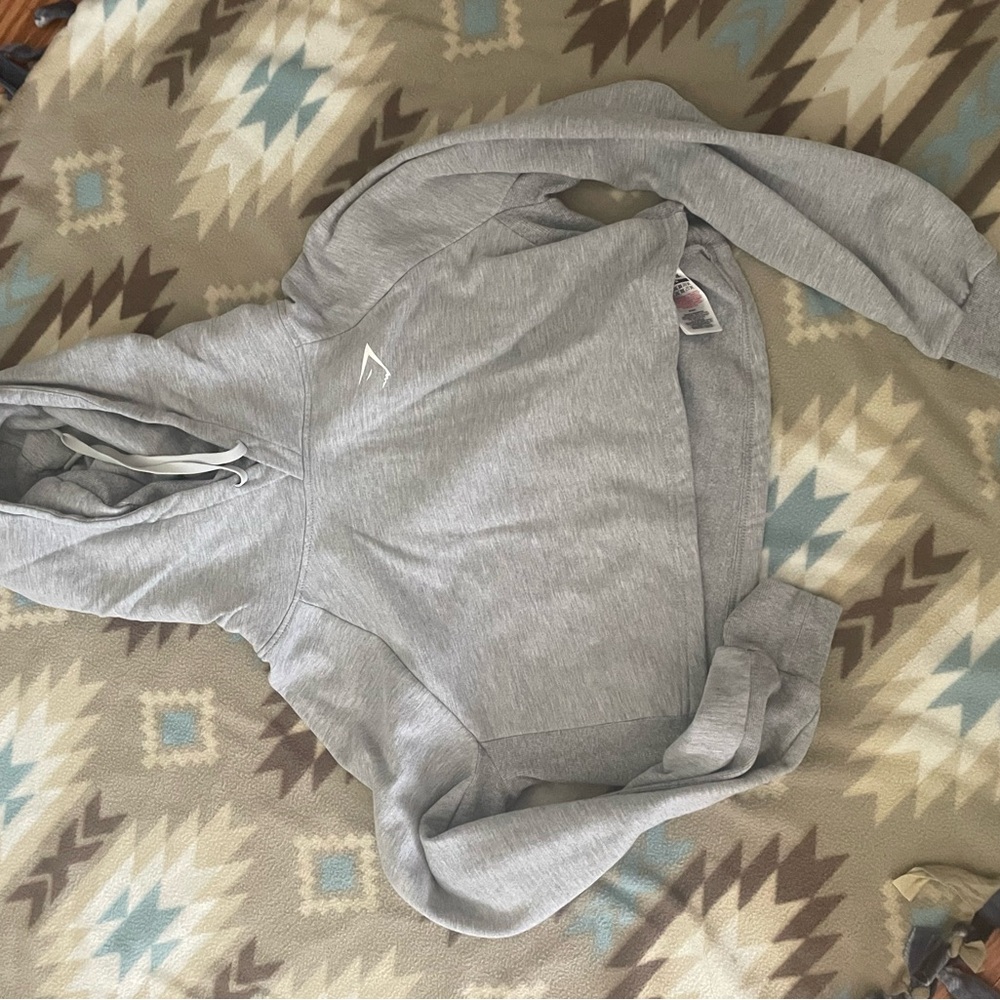 Gray Hooded Sweatshirt